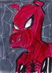 PSC (Personal Sketch Card) by Jeremy Treece