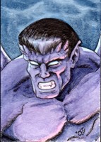 PSC (Personal Sketch Card) by  * Artist Not Listed