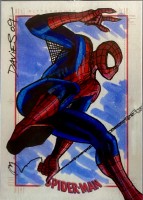 Spider-Man Archives by Jason Davies