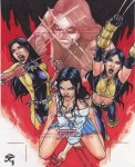 Marvel: Dangerous Divas by Nestor Celario