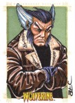 X-Men Origins: Wolverine by Adam Cleveland