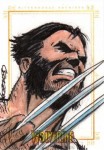 X-Men Origins: Wolverine by Chuck George