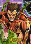X-Men Origins: Wolverine by Darren "robomonkey147" Chandler