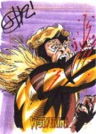 X-Men Origins: Wolverine by Don Hillsman