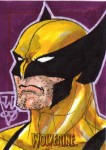 X-Men Origins: Wolverine by John Watkins-Chow
