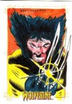 X-Men Origins: Wolverine by Ken Landgraf