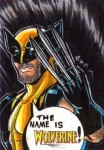 X-Men Origins: Wolverine by Rich Molinelli