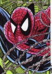 PSC (Personal Sketch Card) by Adam Cleveland