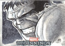 Marvel Beginnings by Jim Cheung