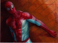 Spider-Man Archives by Charles Hall