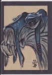 PSC (Personal Sketch Card) by Jason/Jack Potratz/Hai