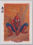 Spider-Man Archives by Jason/Jack Potratz/Hai