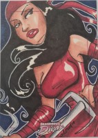 Marvel: Dangerous Divas by Danielle Gransaull (Soloud)