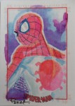 Spider-Man Archives by Joe Pekar