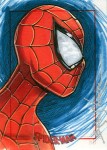 Spider-Man Archives by Brian Shearer