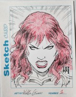 PSC (Personal Sketch Card) by  * Artist Not Listed