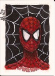 Spider-Man Archives by Jason/Jack Potratz/Hai