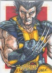 X-Men Origins: Wolverine by Adam Cleveland