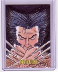 X-Men Origins: Wolverine by Mark Spears