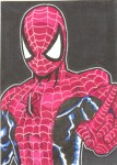 PSC (Personal Sketch Card) by Nathan Ohlendorf