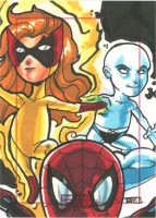 Marvel: Dangerous Divas by Rich Molinelli