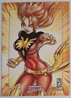 Marvel: Dangerous Divas by Rhiannon Owens